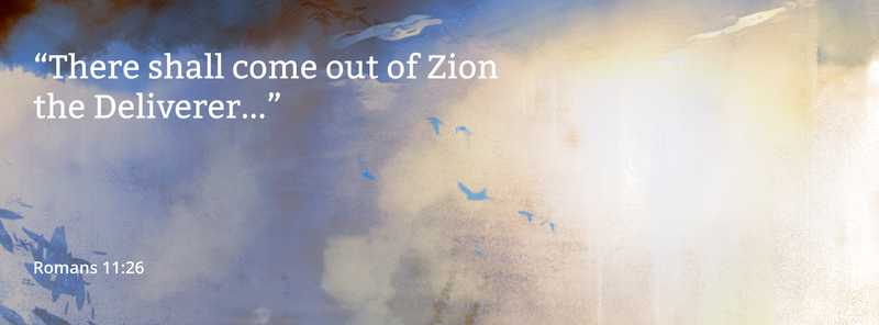 Jesus came once to shed his blood to dedicate the New Covenant with Israel. He will one day come back to earth to usher in the kingdom promised to Israel and reign as King.
