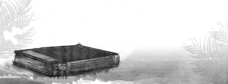 Do you believe the words of the Bible in your hand are the pure words of the Lord?